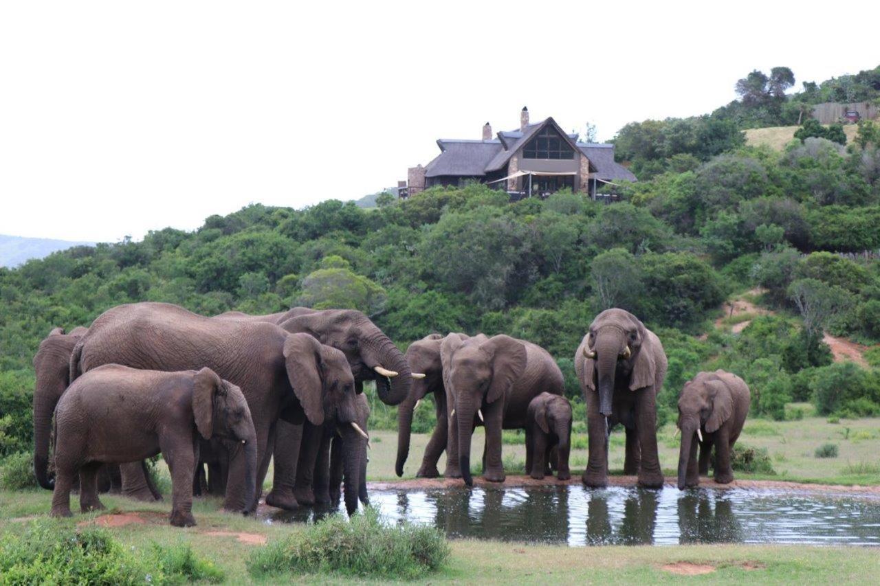 Hopewell Private Game Reserve Buyskloof Exteriör bild